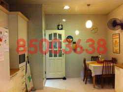 Springleaf Garden (D26), Semi-Detached #80579782